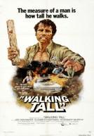 Walking Tall 1973 poster