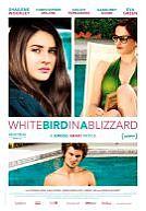 White Bird in a Blizzard