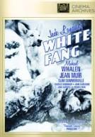 White Fang 1936 dvd