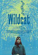 Wildcat poster
