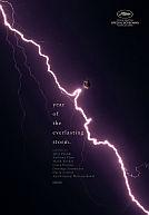 Year of the Everlasting Storm