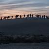 12 Strong