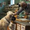 A Dog’s Journey