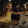 A Dog’s Journey