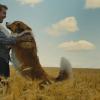 A Dog’s Journey