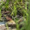 Chris Hemsworth: A Road Trip to Remember