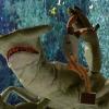 Cocaine Shark
