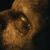 First Contact