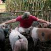 Food, Inc. 2