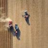 Food, Inc. 2
