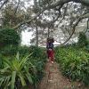 Glasshouse