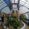 Glasshouse