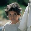 Rabbit-Proof Fence