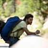 Into the Wild