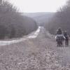 The Road