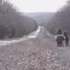 The Road