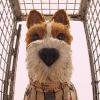 Isle of Dogs (OV)