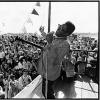 Jazz Fest: A New Orleans Story