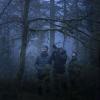 Le chant des forêts
