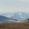 Montana Story