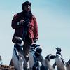 My Penguin Friend