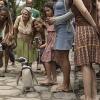 My Penguin Friend