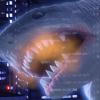 Ouija Shark 2