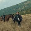 Out Stealing Horses