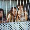 Rabbit-Proof Fence