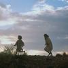 Rabbit-Proof Fence