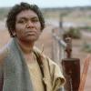 Rabbit-Proof Fence