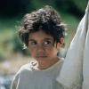 Rabbit-Proof Fence