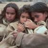 Rabbit-Proof Fence