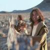 Rabbit-Proof Fence