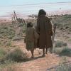 Rabbit-Proof Fence