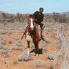 Rabbit-Proof Fence