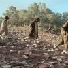 Rabbit-Proof Fence