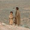 Rabbit-Proof Fence