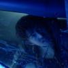 Resident Evil 2026