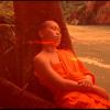 Samsara