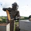 The Beekeeper
