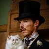 The Electrical Life of Louis Wain