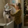 The Friend - Naomi Watts en Bing.