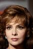 Gina Lollobrigida