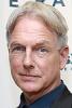 Mark Harmon