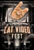 CatVideoFest 2025 poster