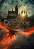 Fantastic Beasts - The Secrets of Dumbledore