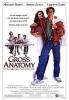Gross Anatomy