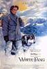 White Fang